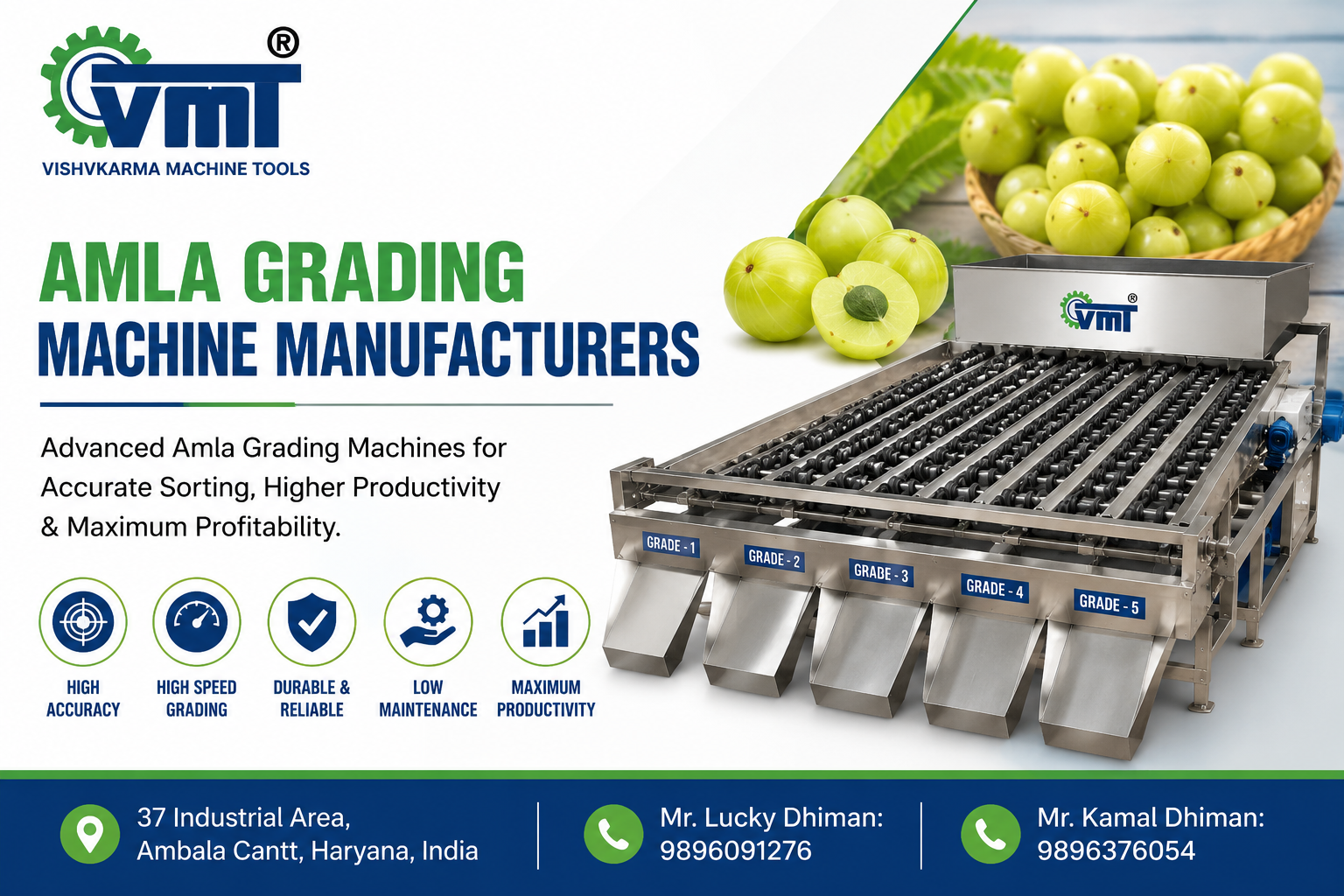Amla Grading Machine manufacturers