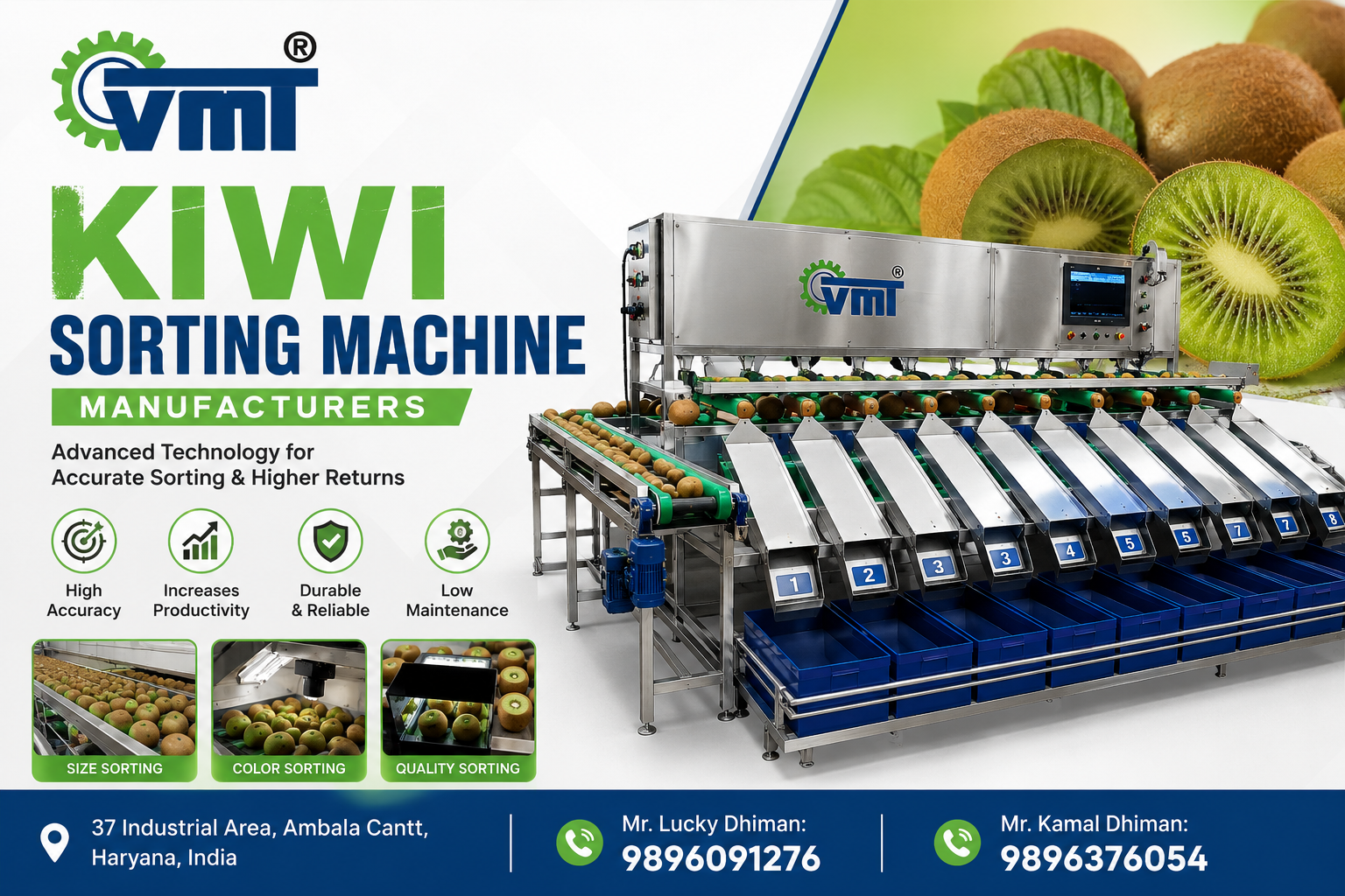Kiwi Sorting Machine Manufacturers