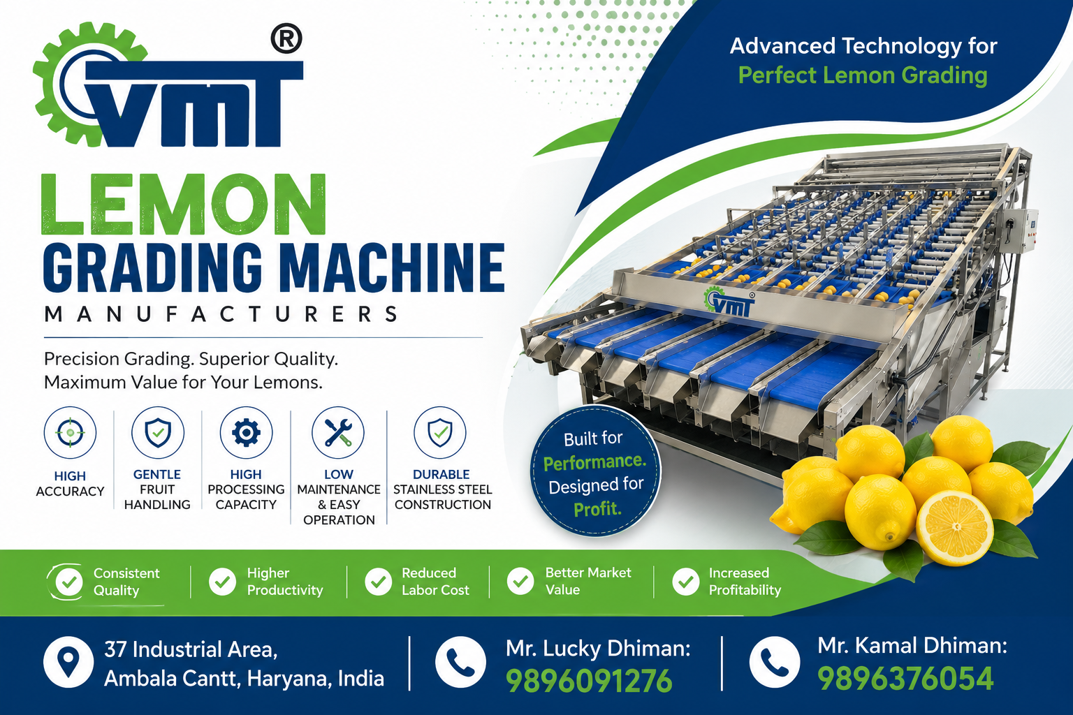 Lemon grading machine Manufacturers