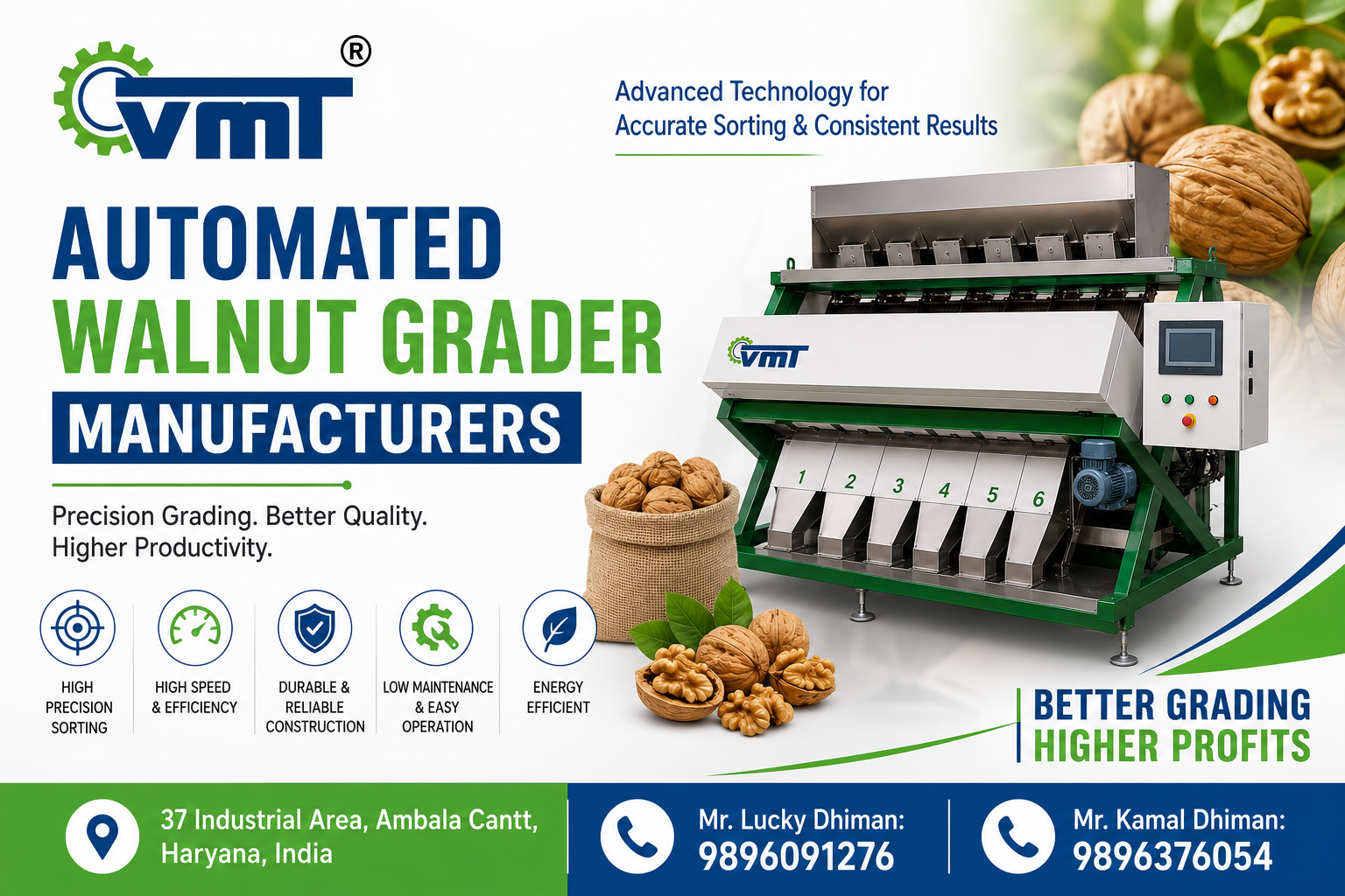 Automated Walnut Grader Manufacturers