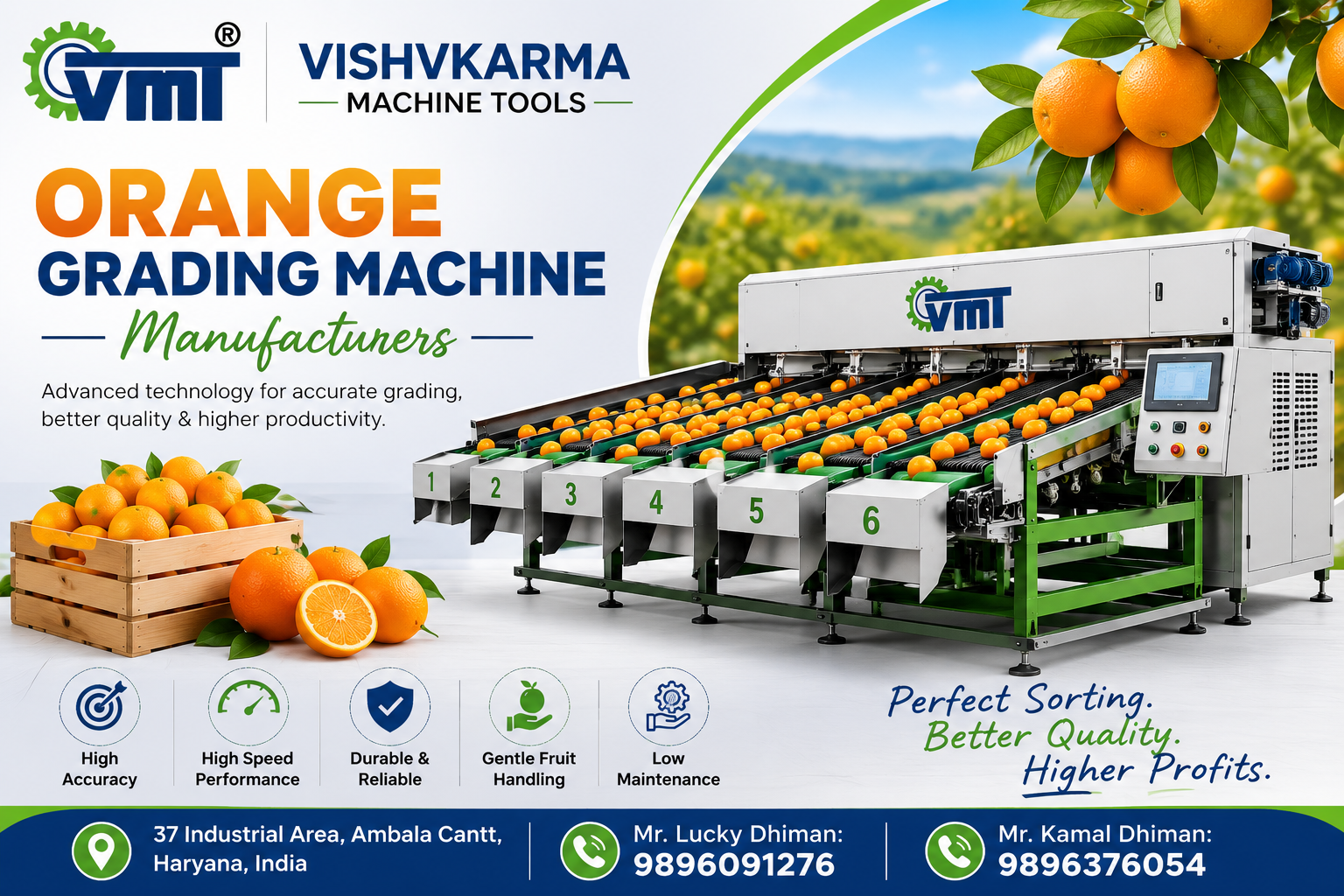 Orange Grading Machine Manufacturers