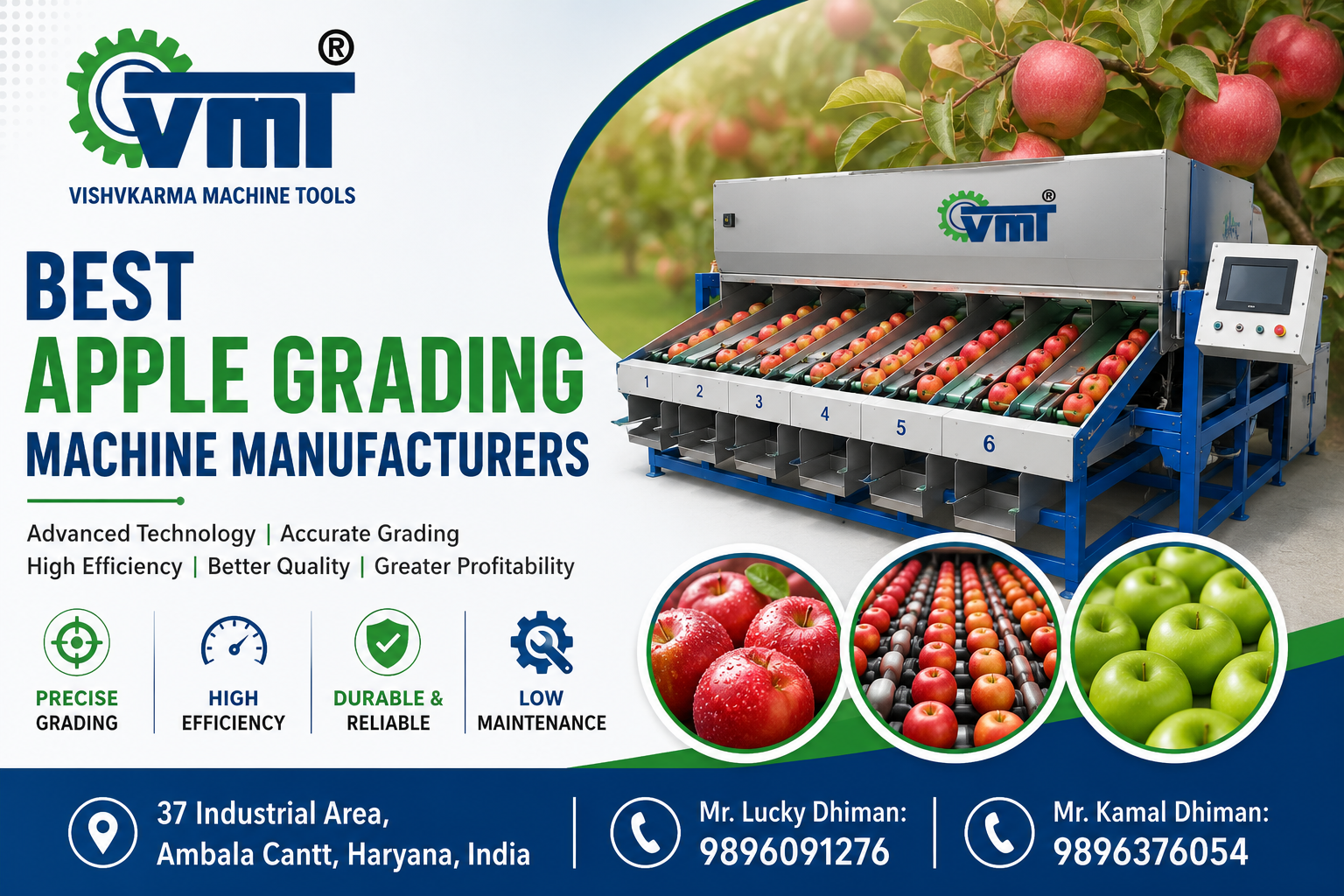 Best Apple Grading Machine Manufacturers