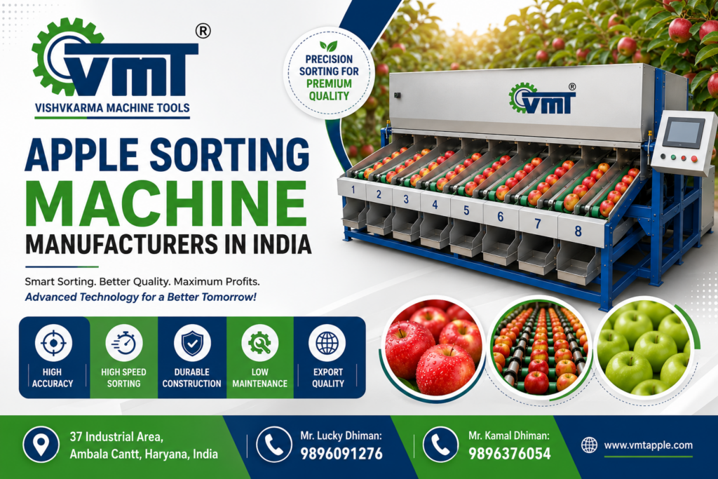 Apple Sorting Machine Manufacturers in India