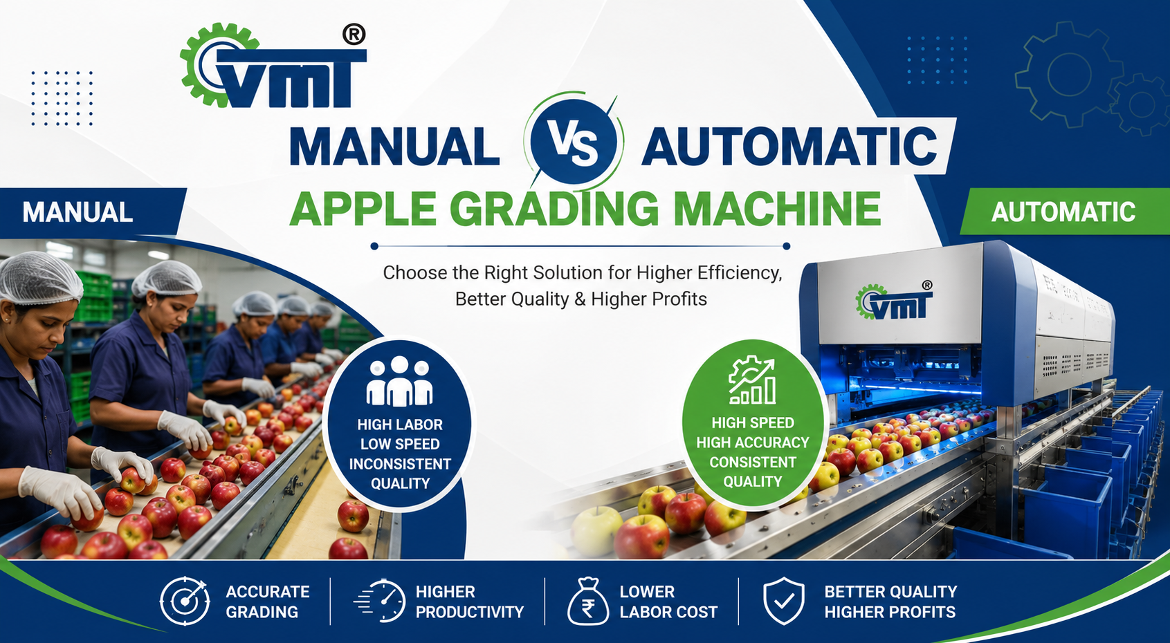 Manual vs Automatic Apple Grading Machine
