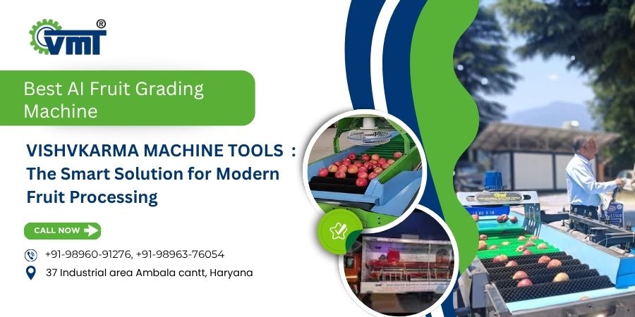 Best AI Fruit Grading Machine