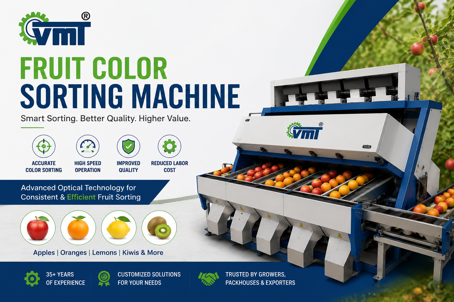 Fruit Color Sorting Machine
